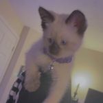 randy newsom - @_randynewsom - Instagram