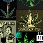 Randy_niles_ - @randy_fmf - Instagram