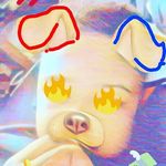 Randy Nunley - @randy.nunley - Instagram