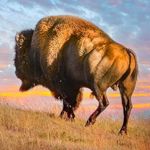 Randy Wayne Nunley - @randy_nunley - Instagram