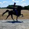 Randy Nunn - @randynunn87 - TikTok