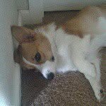 Randy - @_randy_obrien_ - Instagram