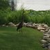 Randy Ordway - Facebook