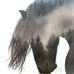 Randy Overman - Facebook