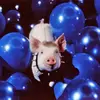 Space_Randy - @space_randy - TikTok