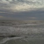 Randy Pannell - @randypannell - Instagram