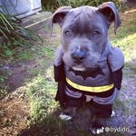 Randy paredes - @randyparedes41 - Instagram