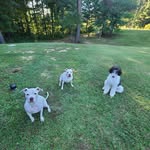 Randy Joe Parish - @rjparish - Instagram