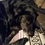 Randy Parish - @parish.randy - Instagram
