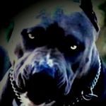 Randy Pascal - @randy.pascal.566 - Instagram