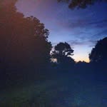 Randy Joe Peach - @randyjoepeach - Instagram