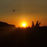ሱስ - @randypeachy - Instagram