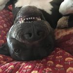 Randy Pell - @randolphpell - Instagram