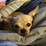 Randy Pendleton - @randy.pendleton.5 - Instagram