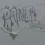 Randy Peralta - @randy.peralta.5015 - Instagram