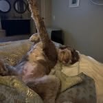Randy Pickering - @arescuerandy - Instagram