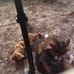 Randy Pittenger - Facebook