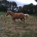 Randy Poling - @randy.poling - Instagram