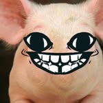 Pig post randy - @pigpostrandy - Instagram
