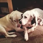 Randy Post - @randy25141 - Instagram