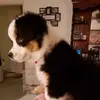 randypurnell0 - @randypurnell0 - TikTok