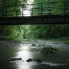 rabonrandy - @rabonrandy - TikTok