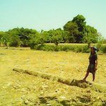 @nDy16 - @randyraganta - Instagram