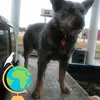 Randy - @randyragland6 - TikTok