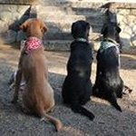 Rossi Randy Rainey Ron - @rossirandyraineyron - Instagram