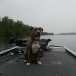 randy ramer - @ramer9439 - Instagram
