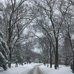 Randy Randolph - @randy.randolph.77 - Instagram