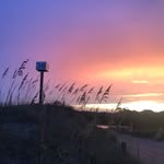 Randy Ratliff - @1randallratliff - Instagram