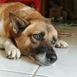 Randy Raymond - @_randy_raymond_ - Instagram