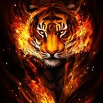Randy redman - @randyredma - Instagram