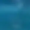 randyredmond617 - @randyredmond617 - TikTok