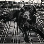 Randy - @remington_randy - Instagram