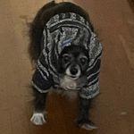 Reno Randy - @reno_randy_now - Instagram