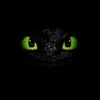 Randyrex1226 - @randyrex1226 - TikTok