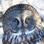 Randy Richard - @naturerich_photography - Instagram