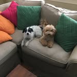 Randy Ring - @ring.randy - Instagram