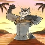 Randy Ringtail - @randyringtail - Instagram