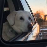 Randy Rinker - @randyrinker - Instagram