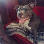 Randy Risner - Facebook