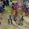 🚲🏆Randy🏆🚲 - @randy_rivas - TikTok