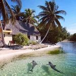 Randy Rivers - @randy.rivers.9615 - Instagram