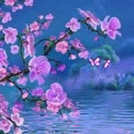 Randy Robichaud - Facebook