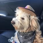 Randy Rodabaugh - @randy.rodabaugh.75 - Instagram
