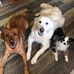Randy Roe - Facebook