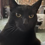 Randy Murray - @363rollerrandy - Instagram