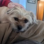 Randy Root - @rwr741 - Instagram